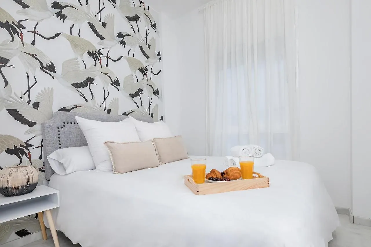 Exclusivo Duplex Carrera Daire Málaga